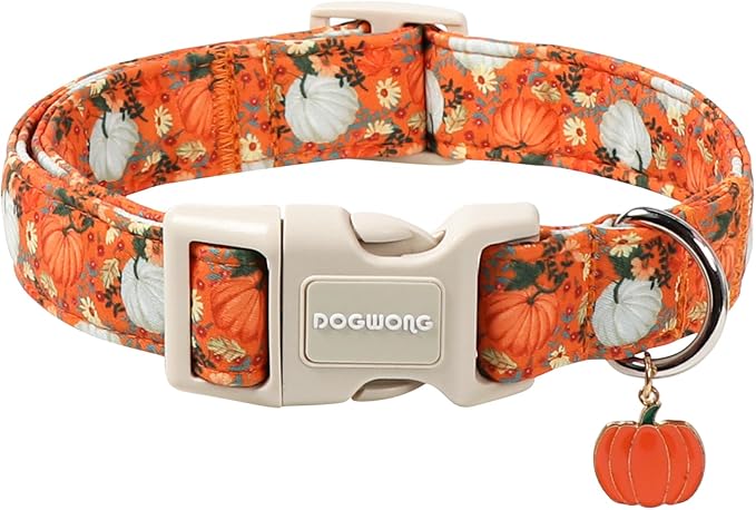 DOGWONG Fall Pumpkin Dog Collar- Cute Daisy Pumpkin Dog Collars Adjustable by DOGWONG