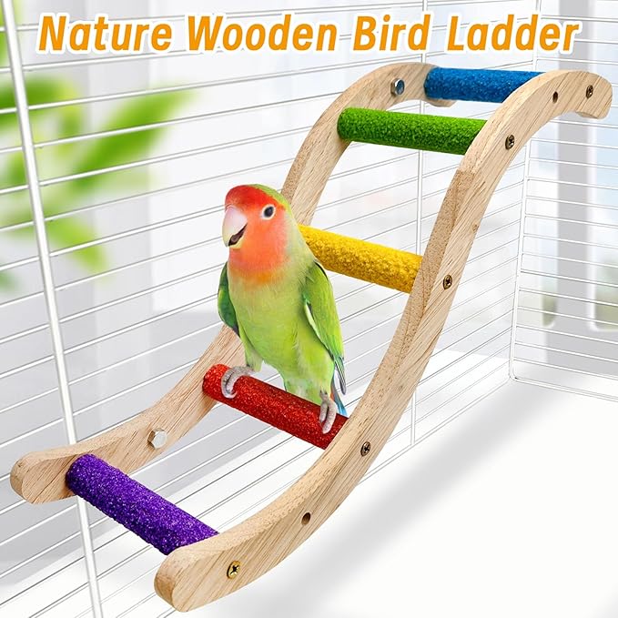 Hamiledyi Nature Wooden Bird Ladder Pet Parrots Climb Bridge Exercise Stands - Image 2