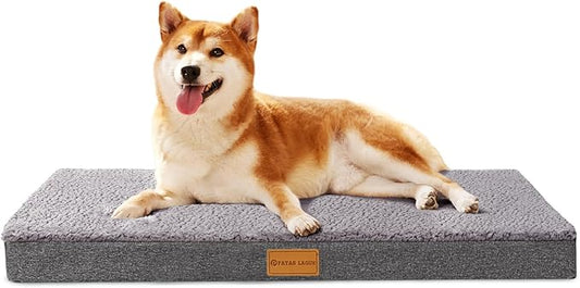 Patas Lague Orthopedic Dog Bed Large Sized Dog 36''X24'', Soft Waterproof Egg by PatasLague