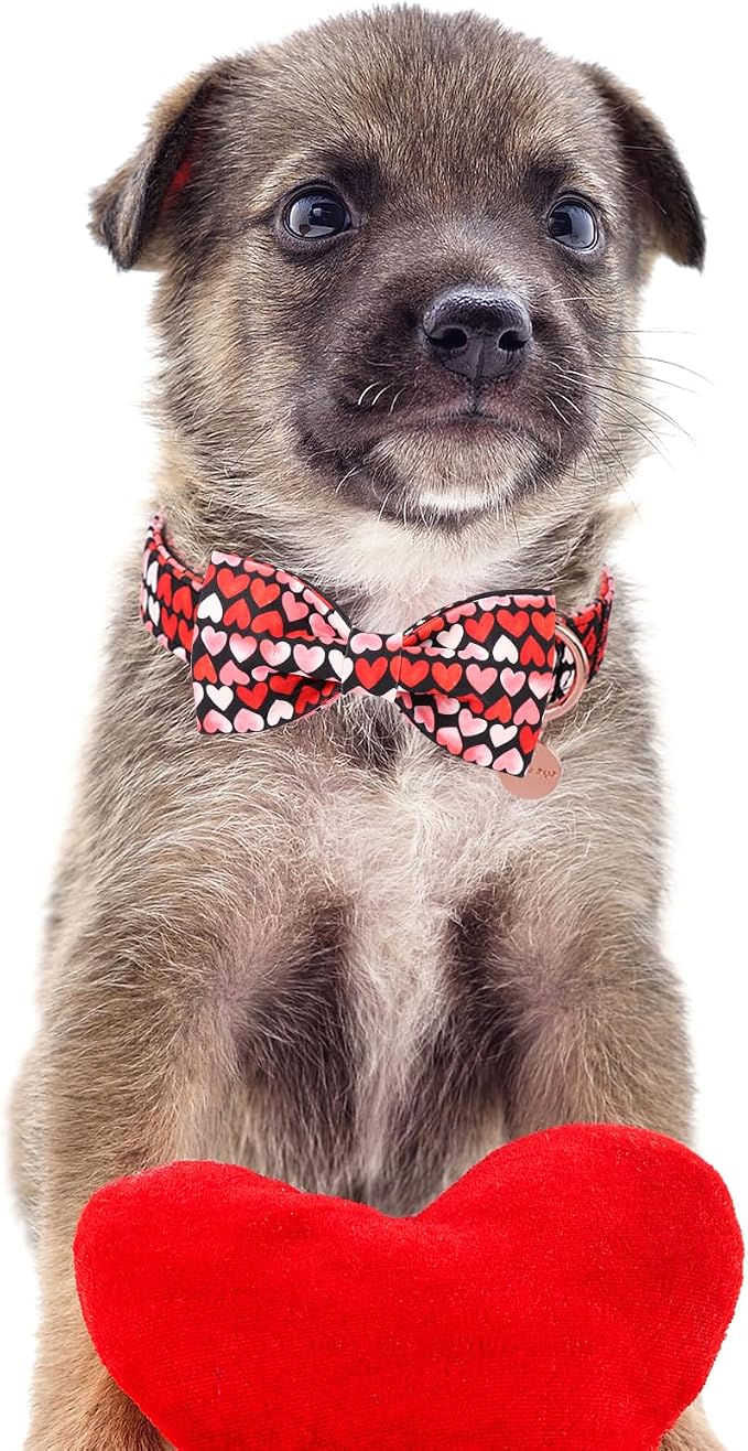 Valentine’s Day Dog Collar - Image 6