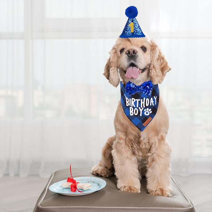 ADOGGYGO Dog Birthday Party Supplies, Pet Party Hat - Image 2