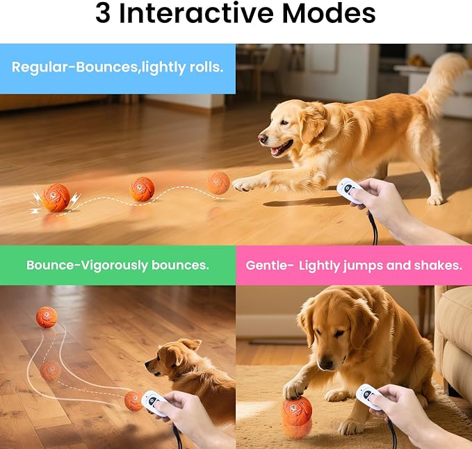 Smart Interactive Dog Ball - Image 5