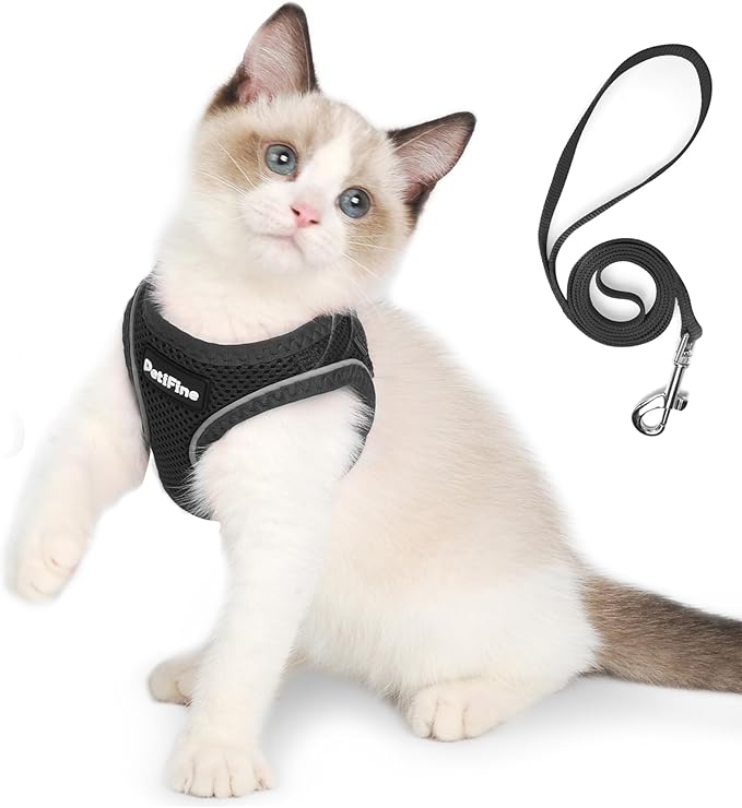PetiFine Extra Small Step in Dog Harness and Leash Set, Cat Harness and Leash by PetiFine