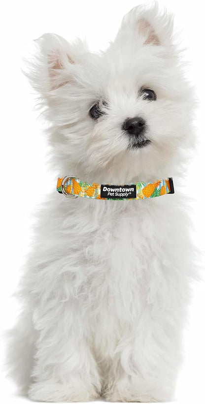 Downtown Pet Supply - Image 4
