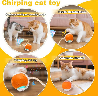 Interactive Cat Toys Ball for Indoor Cats, Automatic Cat Toy - Image 3