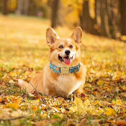Unique style paws Dog Collar Green Pumpkin Flower Metal Buckle Durable Puppy - Image 5