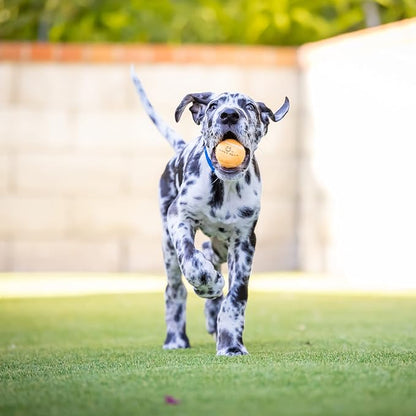 Hyper Pet MINI Tennis Balls for Dogs Safe Dog Toys & Tennis Balls for Exercise - Image 8