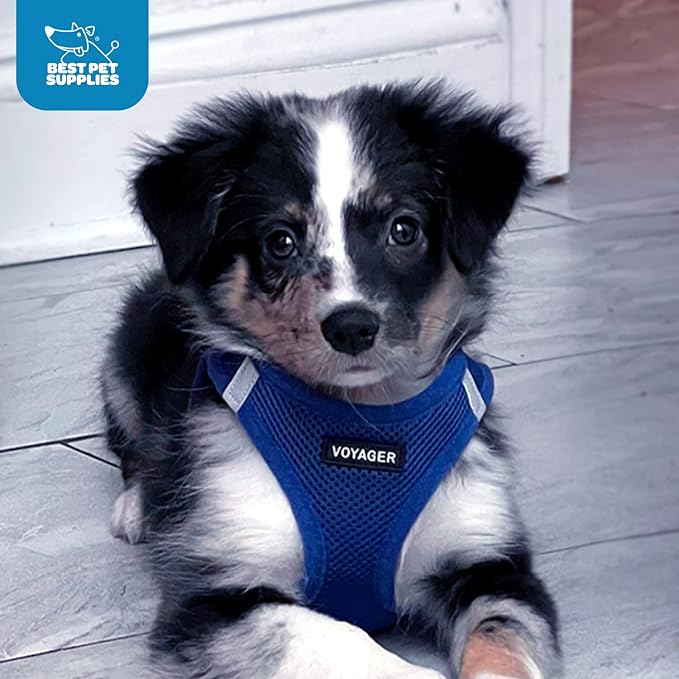 Best Pet Supplies Voyager Step-in Air Harness - Image 8