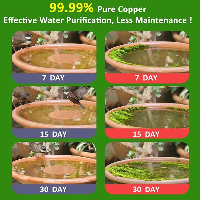Bird Bath Copper Disk, 0.6mm Thick 99.99% Pure Copper Purification Disk - Image 2