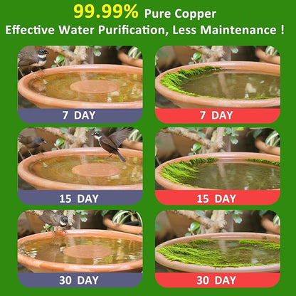 Bird Bath Copper Disk, 0.6mm Thick 99.99% Pure Copper Purification Disk - Image 2
