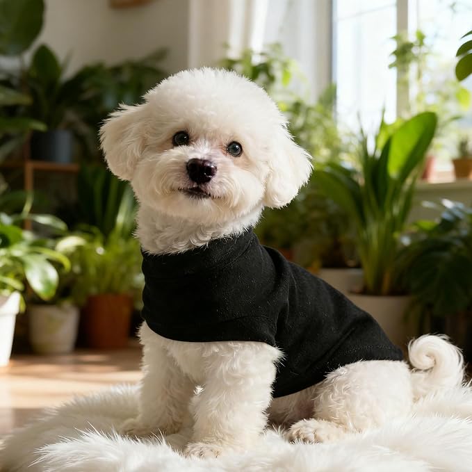EXPAWLORER Soft Cat Sweater - Image 6