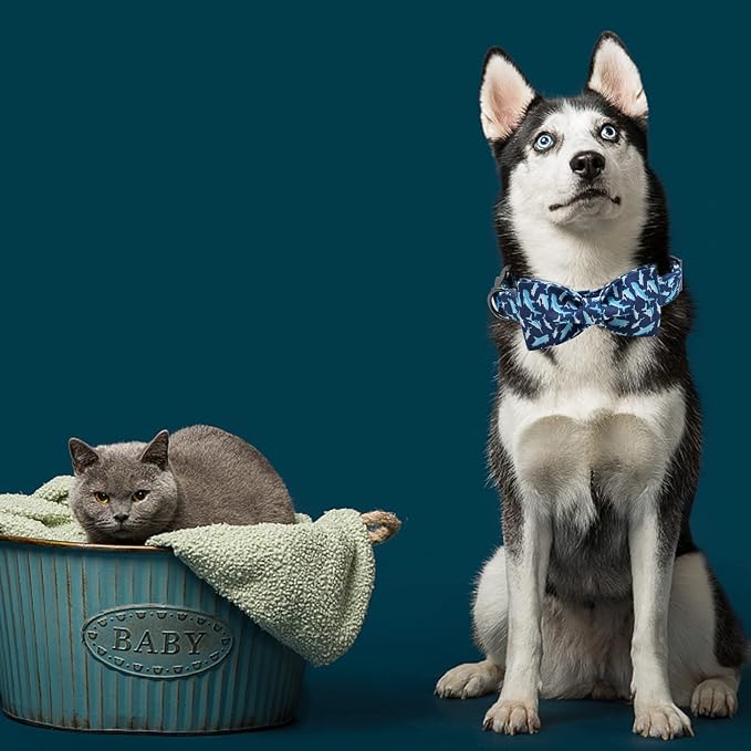 Elegant Little Tail Dog Collar - Image 5