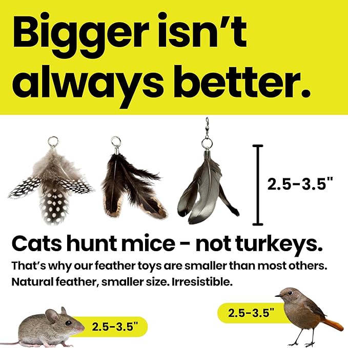 Feather Toys Replacements - Image 5
