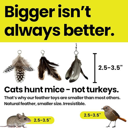 Feather Toys Replacements - Image 5