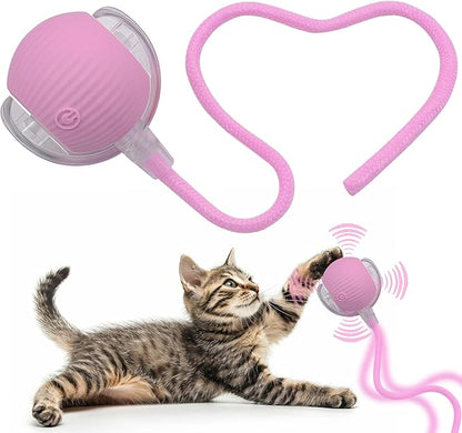 Interactive Cat Dog Toy Ball: Indoor Small Automatic Moving Smart Rolling Fun by AEBDERP