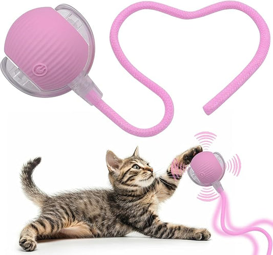 Interactive Cat Dog Toy Ball: Indoor Small Automatic Moving Smart Rolling Fun by AEBDERP