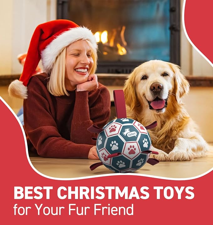 QDAN Dog Balls, World Cup Soccer Ball - Image 2