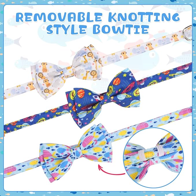 KOOLTAIL Boy Cat Collar Breakaway - Image 6