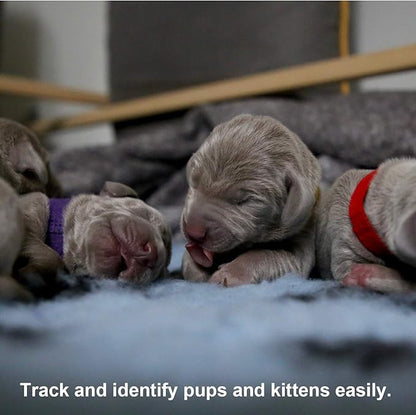 Luter 15 Colors 20x1cm Puppy Collars, Soft Adjustable Whelping Collars - Image 7