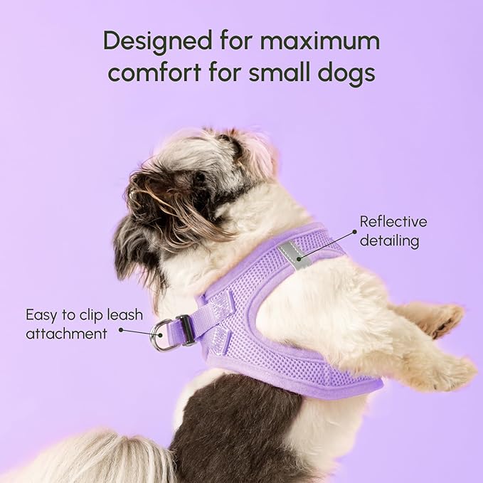 Downtown Pet Supply Step in Dog Harness - Image 4
