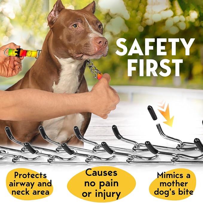 PetJett Prong Collar for Dogs Training Collar Adjustable Choke Collar for Dog - Image 3