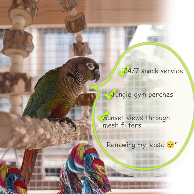 Bird Perch Swing, Large Natural Wood Parrot Toys, Bird Cage Accessories - Image 6