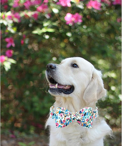 Lionheart glory Dog Collar Bow Collar Floral Dog Collar - Image 5