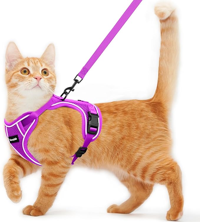Cat Harness and Leash for Walking Escape Proof Soft Adjustable Cat Leash by Unknown