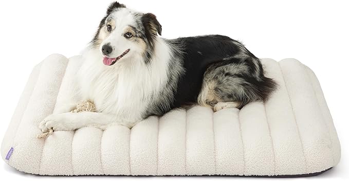 LE SURE Cute Orthopedic Dog Bed Large Sized Dog, Waterproof Chic Flat Pet Beds by Lesure