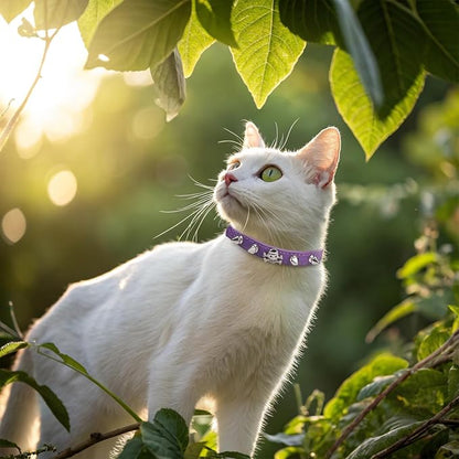 EXPAWLORER Leather Cat Collar for Girl Boy- Adjustable Pet Collar - Image 8