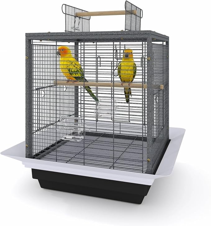 Bird Flight Cage 16 x 16 x 20 Inch, Wrought Iron Parrot Cage by Unknown