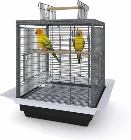 Bird Flight Cage 16 x 16 x 20 Inch, Wrought Iron Parrot Cage by Unknown