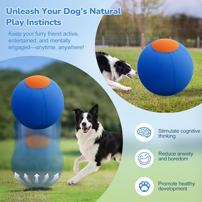 ZIDA 18" Herding Ball for Dogs and Horses - Image 8