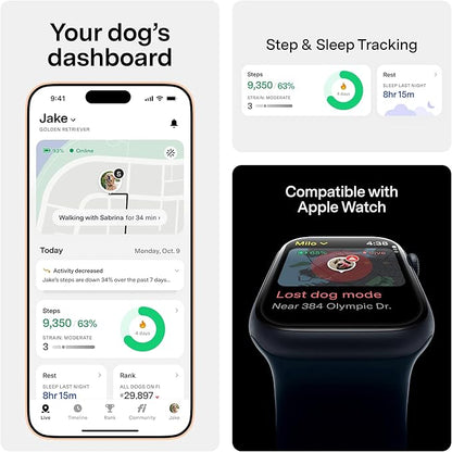 Fi Mini GPS Tracker for Dogs — 6-Month Membership Included — Smart Pet Tracking - Image 3