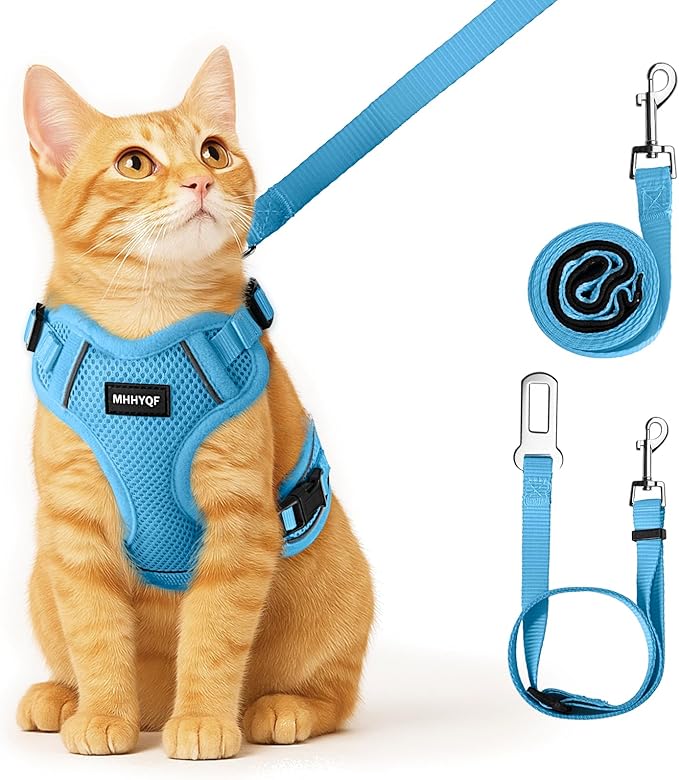 Cat Harness, Cat Harness and Leash by Unknown