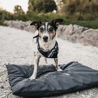 Dog Bed Cover Replacement Washable. 30 "L X 20 "W X 3 "H Washable Removable - Image 7
