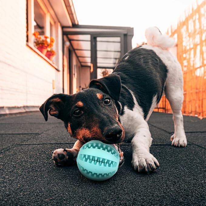 Interactive Pet Toy Balls, Treat Dispensing Ball - Image 9