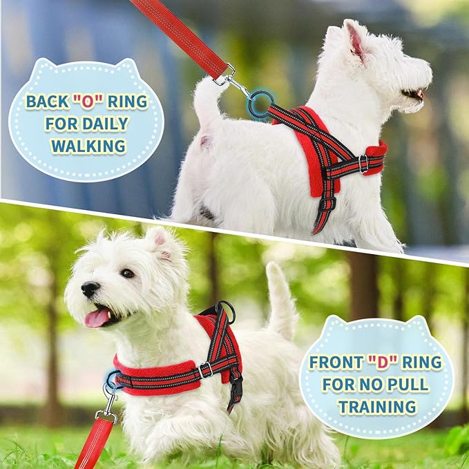 SlowTon No Pull Small Dog Harness and Leash Set, Puppy Soft Vest Harness Neck & - Image 4