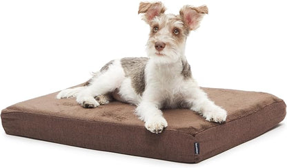 Barkbox Orthopedic Dog Bed | Comfortable Memory Foam Mattress by BARK