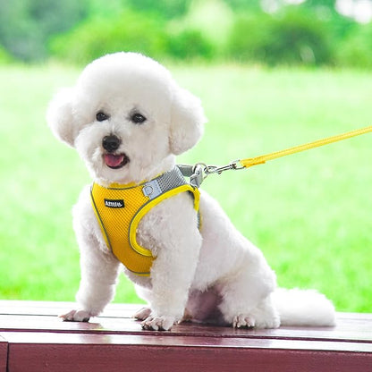 AIITLE Easy Walk Dog Harness and Leash Set - Image 9