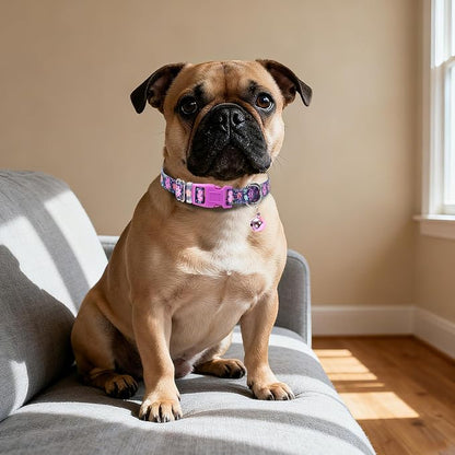 Floral Small Dog Collar with Bell - Image 5