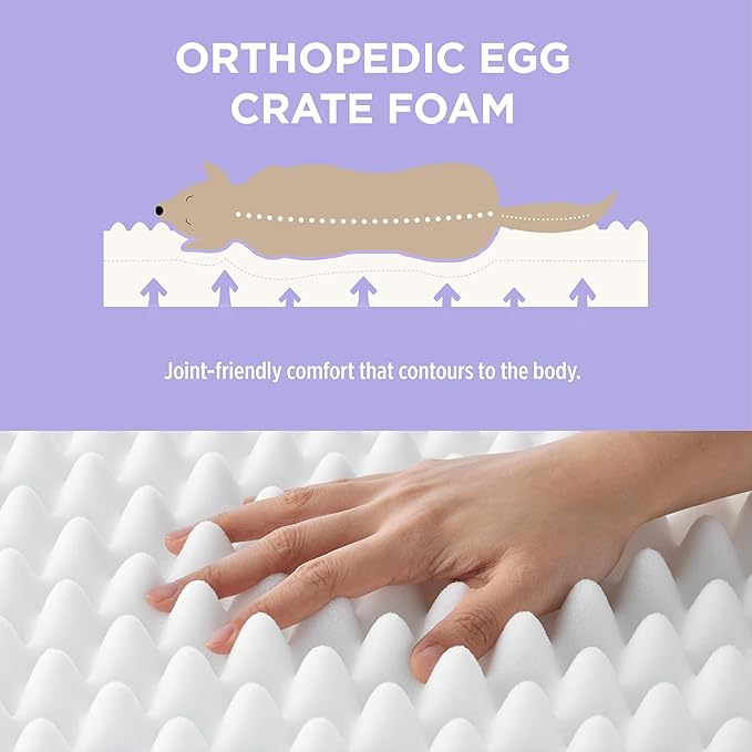 LE SURE Cute Orthopedic Dog Bed Medium Size Dog, Waterproof Chic Flat Pet Beds - Image 4