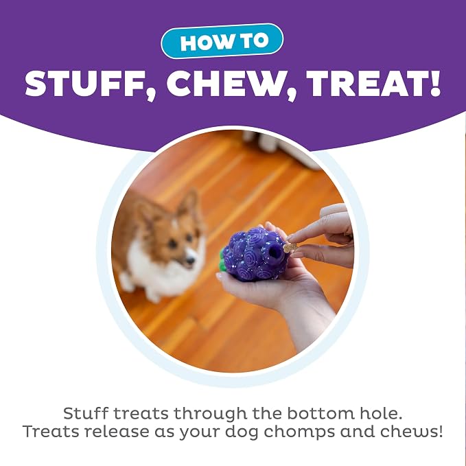 Outward Hound Dental Grapes Dog Toy & Treat Stuffer, 6″ x 3″ Grape-Scent - Image 4