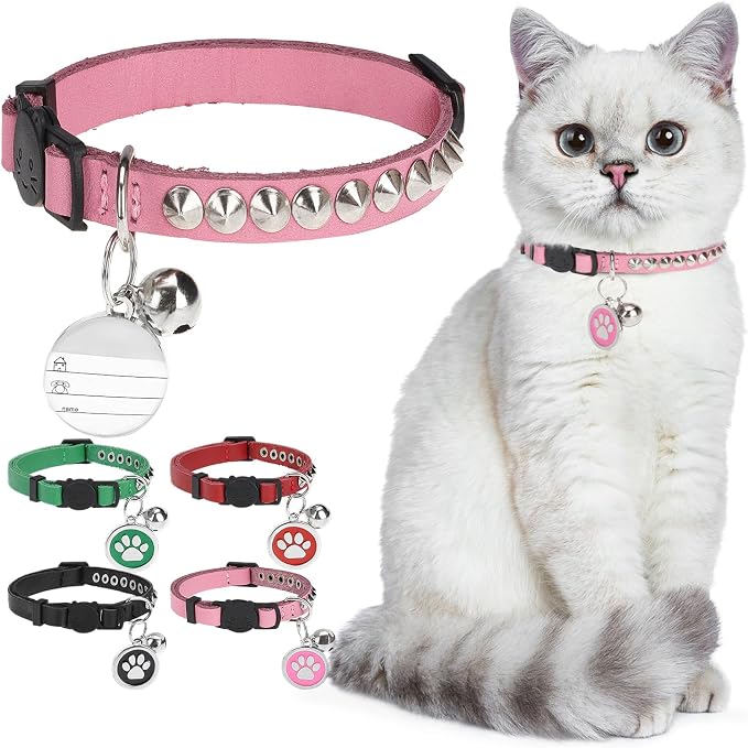 Leather Personalized Breakaway Cat Collar by DILLYBUD