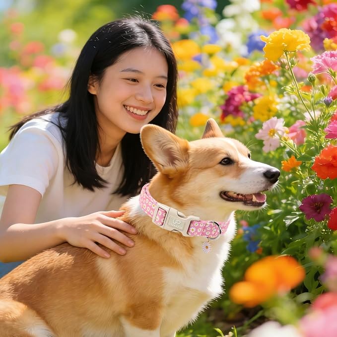 Daisy Dog Collar, Summer Cotton Dog Collar - Image 5