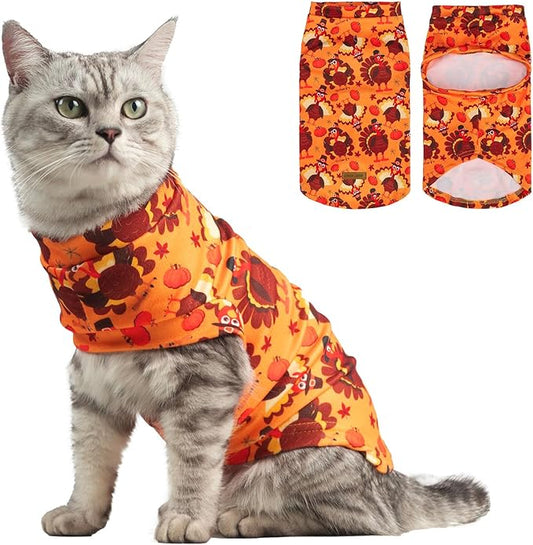 EXPAWLORER Thanksgiving Cat Sweater by EXPAWLORER