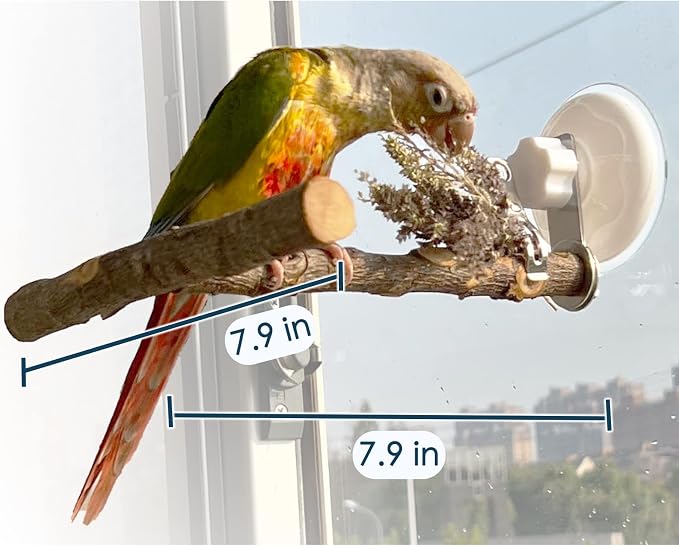 Portable Bird Perch Stand- T-Shaped Natural Apple Wood - Image 3