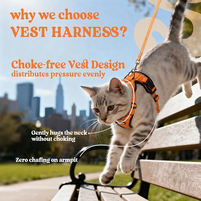 rabbitgoo Cat Harness and Leash - Image 3