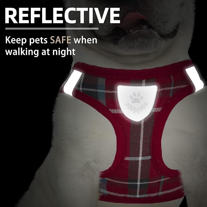 PUPTECK Adjustable Dog Harness Collar and Leash Set Step in No Pull Pet Harness - Image 5
