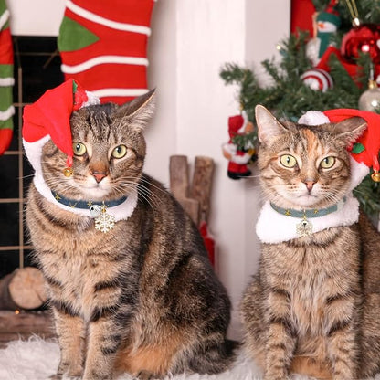 2 Pack Cotton Breakaway Cat Collar - Image 6